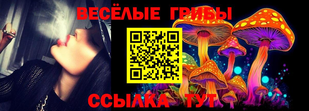Галлюциногенные грибы прущие грибы Вичуга
